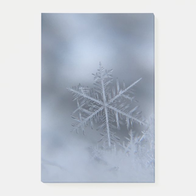 Notas Post-it® navidades de invierno 97 (Anverso)