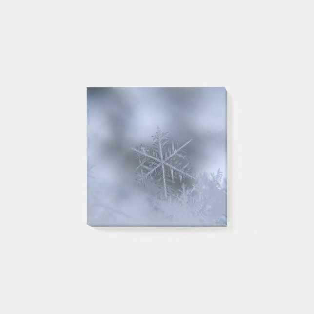 Notas Post-it® navidades de invierno 97 (Anverso)