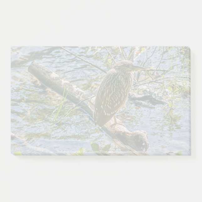 Notas Post-it® Night Heron jv (Anverso)