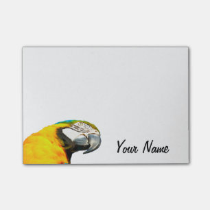 Notas Post-it® Nombre personalizado retrato divertido del loro