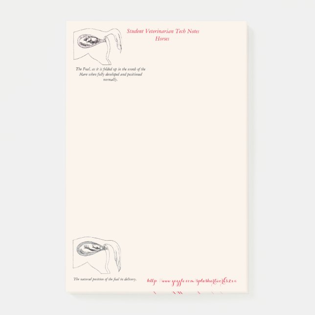 Notas Post-it® "Notas veterinarias de la tecnología " (Anverso)