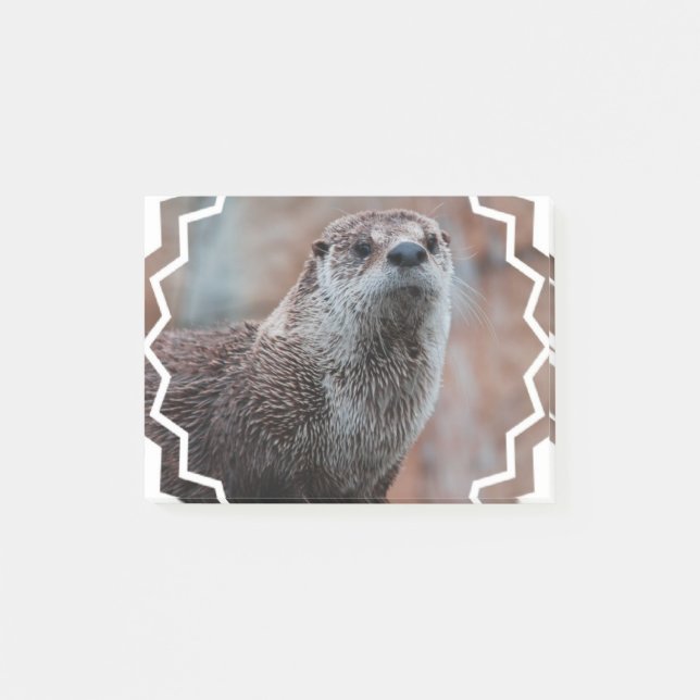 Notas Post-it® Nutria de río (Anverso)