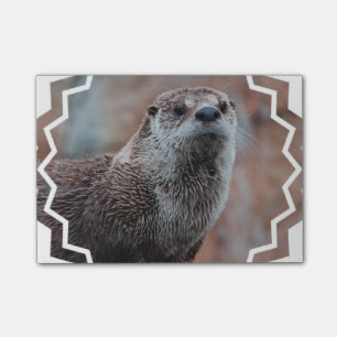 Notas Post-it® Nutria de río
