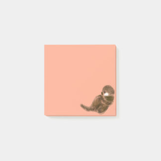Notas Post-it® Nutria marina