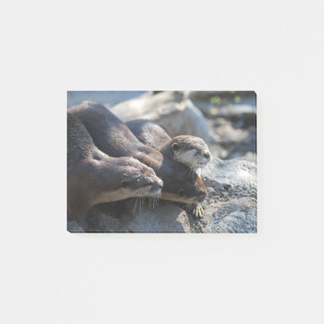 Notas Post-it® Nutrias de abrazo (Anverso)