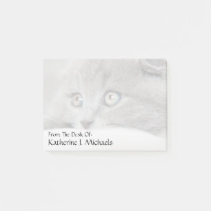 Notas Post-it® Ojos de gato