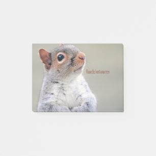 Notas Post-it® Oliver Twist Squirrel