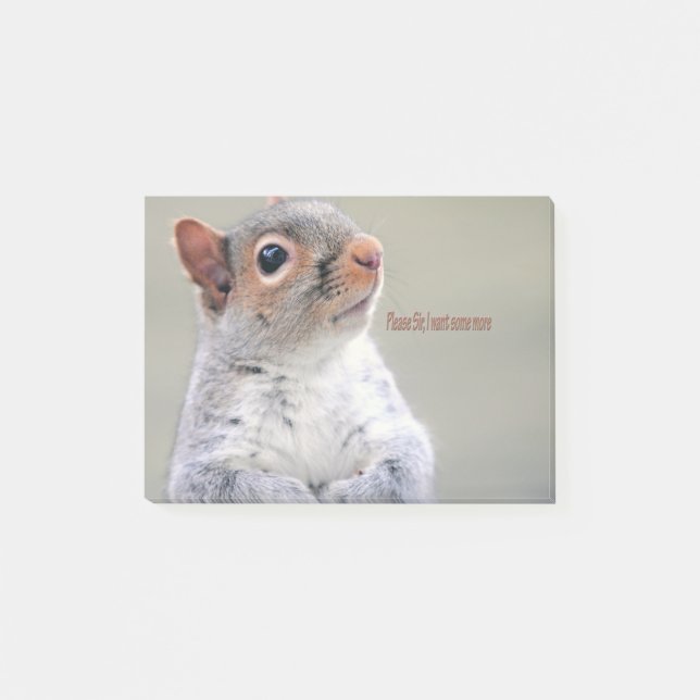 Notas Post-it® Oliver Twist Squirrel (Anverso)