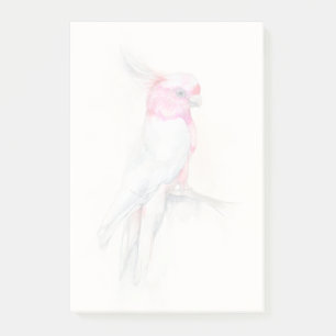 Notas Post-it® Ópera Cockatoo