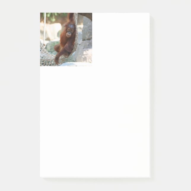 Notas Post-it® OrangUtan 001 (Anverso)