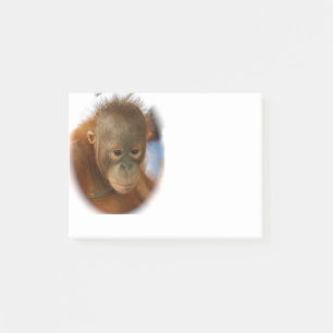 Notas Post-it® Orangután del bebé
