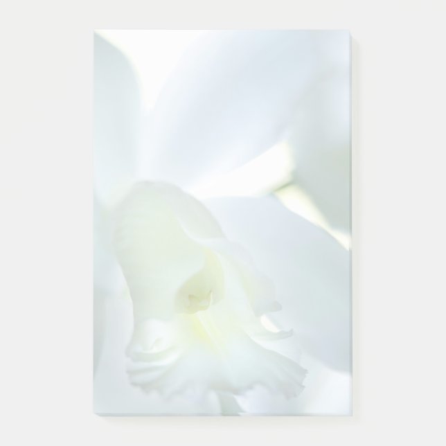 Notas Post-it® Orquídea (Anverso)