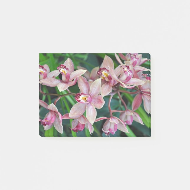 Notas Post-it® Orquídeas de polilla rosa (Anverso)