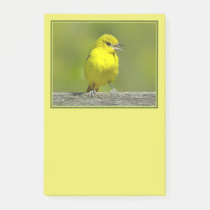 Notas Post-it® Ortolano Oriol - Fotografía Original