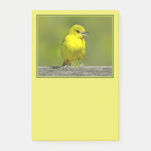 Notas Post-it® Ortolano Oriol - Fotografía Original (Anverso)