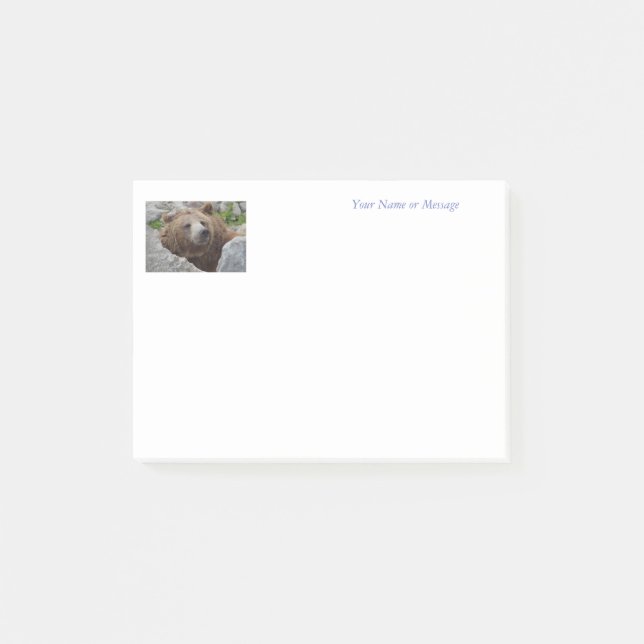 Notas Post-it® Oso Kodiak (Anverso)