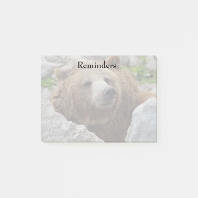 Notas Post-it® Oso Kodiak (Anverso)