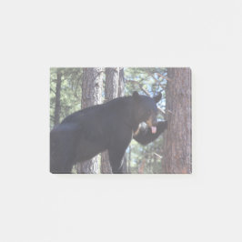 Notas Post-it® Oso negro