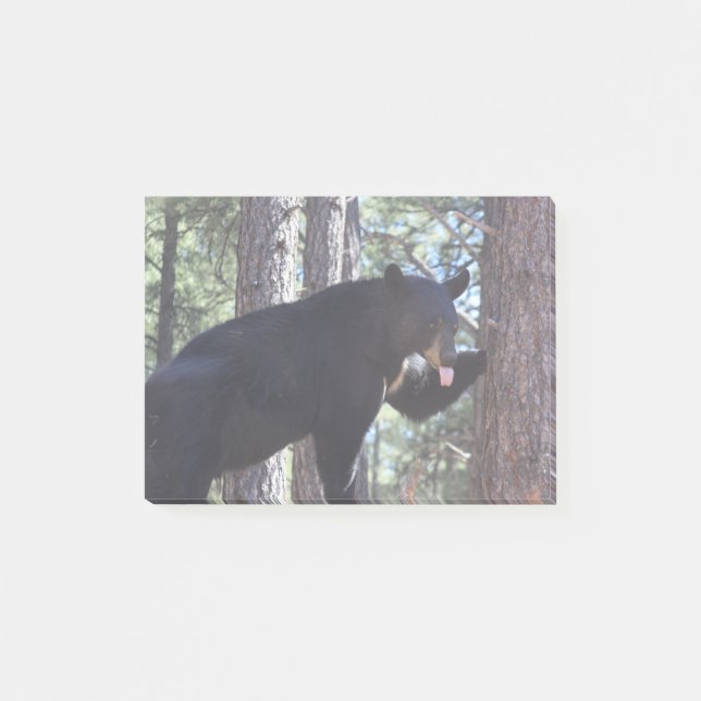 Notas Post-it® Oso negro (Anverso)