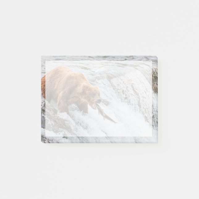 Notas Post-it® Oso pardo atrapa salmón rojo (Anverso)