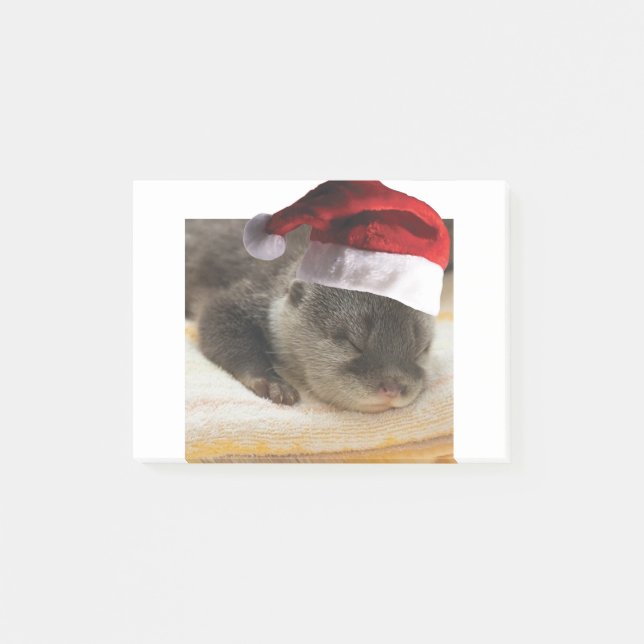 Notas Post-it® Otter (Anverso)