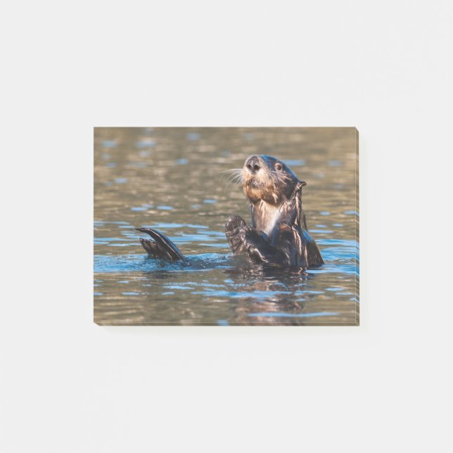 Notas Post-it® Otter marino Sunny (Anverso)