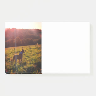 Notas Post-it® Paisaje del amanecer con perro
