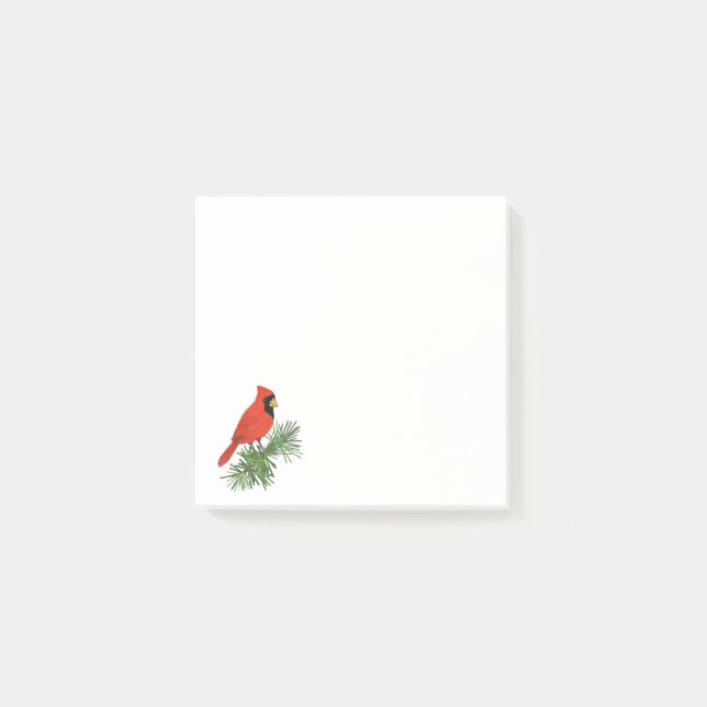 Notas Post-it® Pájaro cardenal rojo en árbol de pino (Anverso)