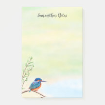 Pájaro Naranja azul de Kingfisher Watercolor