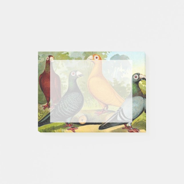 Notas Post-it® Pájaros de la paloma del dragón (Anverso)