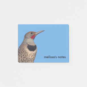 Notas Post-it® Pájaros de parpadeo del norte al sol