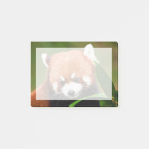 Notas Post-it® Panda Rojo Adorable