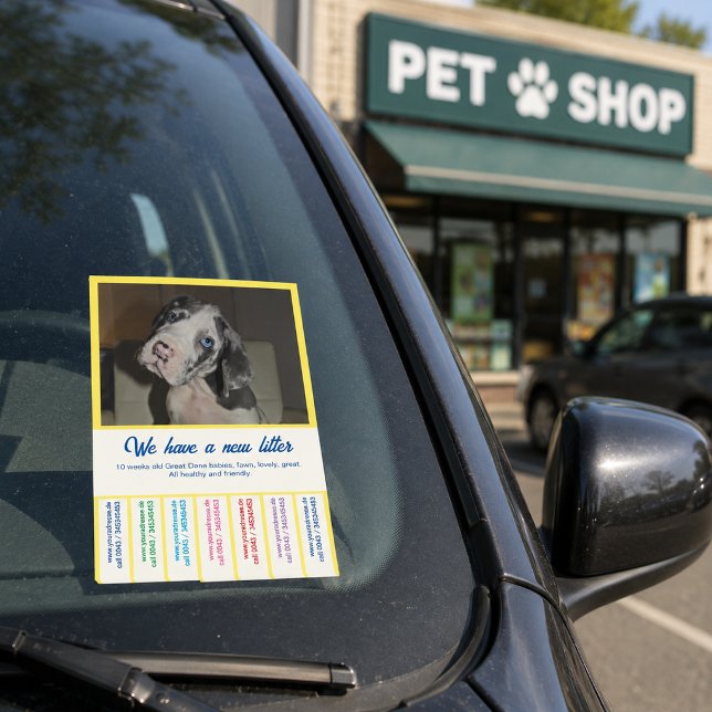 Notas Post-it® Para vender cachorros Dane coloridos (Subido por el creador)