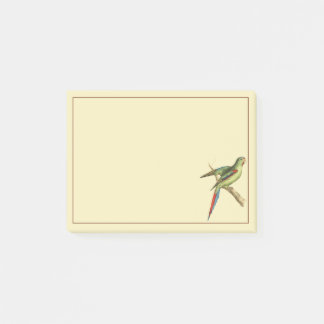 Notas Post-it® Parakeet