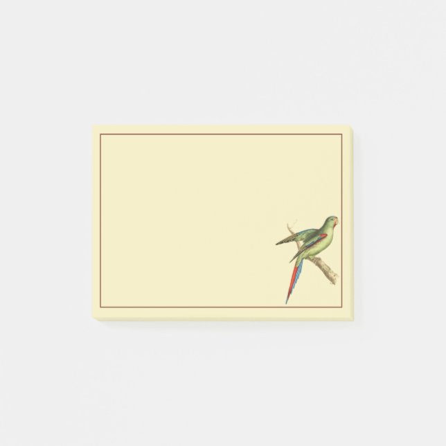 Notas Post-it® Parakeet (Anverso)