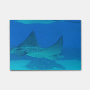Notas Post-it® Pastinacas