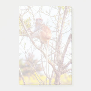 Notas Post-it® Patas arriba un árbol