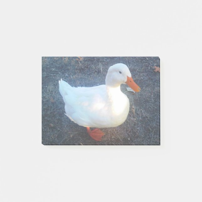 Notas Post-it® Pato (Anverso)