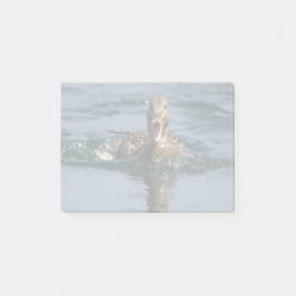 Notas Post-it® Pato abierto con pico