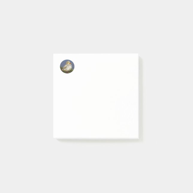 Notas Post-it® Pato Blanco Pequeño (Anverso)