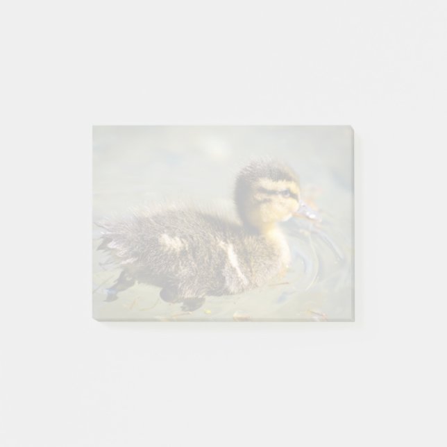 Notas Post-it® Pato joven del bebé (Anverso)