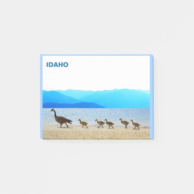 Notas Post-it® Patrulla Shore - Canadá Geese (Anverso)