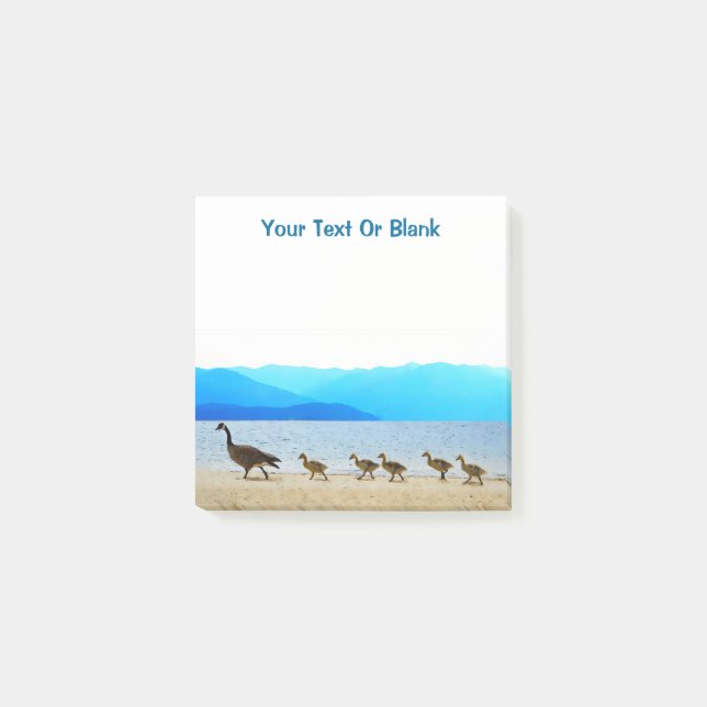 Notas Post-it® Patrulla Shore - Canadá Geese (Anverso)