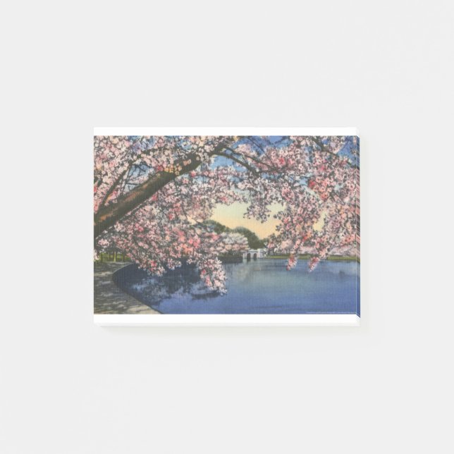 Notas Post-it® PAU43 Basin.tif de marea (Anverso)