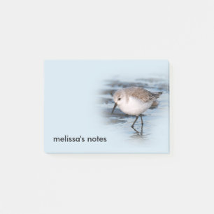 Notas Post-it® Pequeña Sanderling en la playa