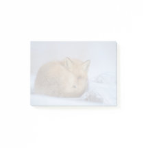 Pequeño Fox Maldita Foto De Invierno