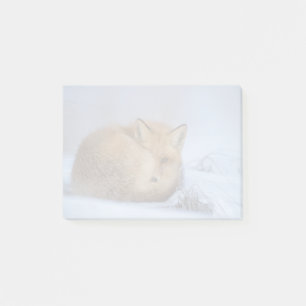 Notas Post-it® Pequeño Fox Maldita Foto De Invierno