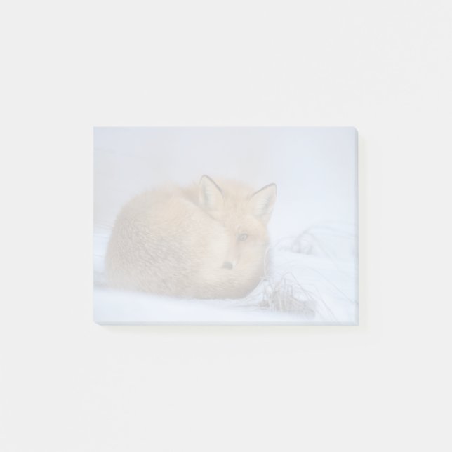 Notas Post-it® Pequeño Fox Maldita Foto De Invierno (Anverso)