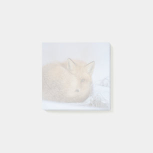 Notas Post-it® Pequeño Fox Maldita Foto De Invierno