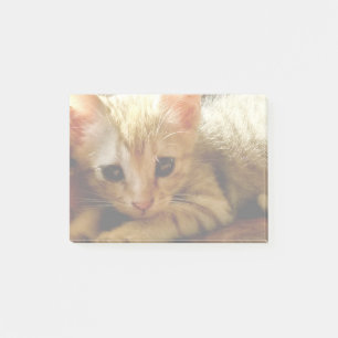 Notas Post-it® Pequeño gatito lindo